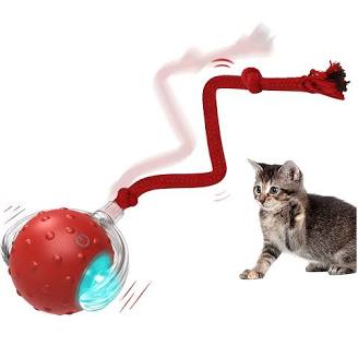 Cat Toy With LED Lights
